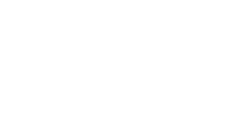 DVZ Logo